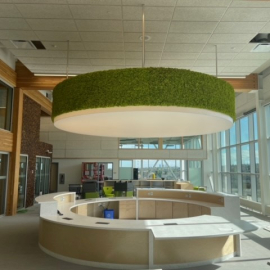 Light Fixture